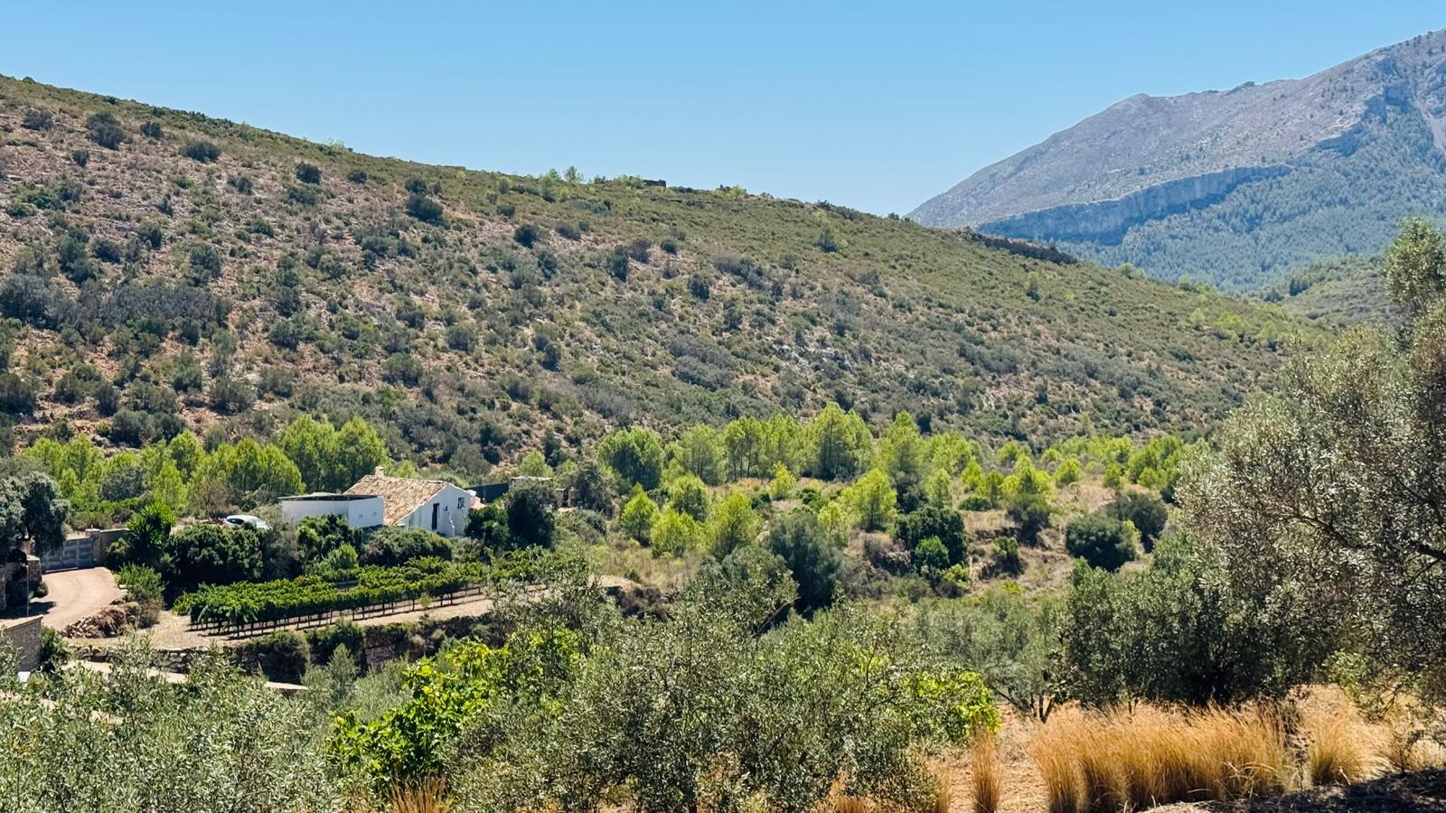 Finca Rústica en venta