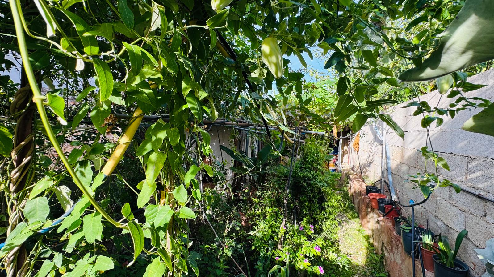 Se vende amplia casa de pueblo con jardín en Pedreguer