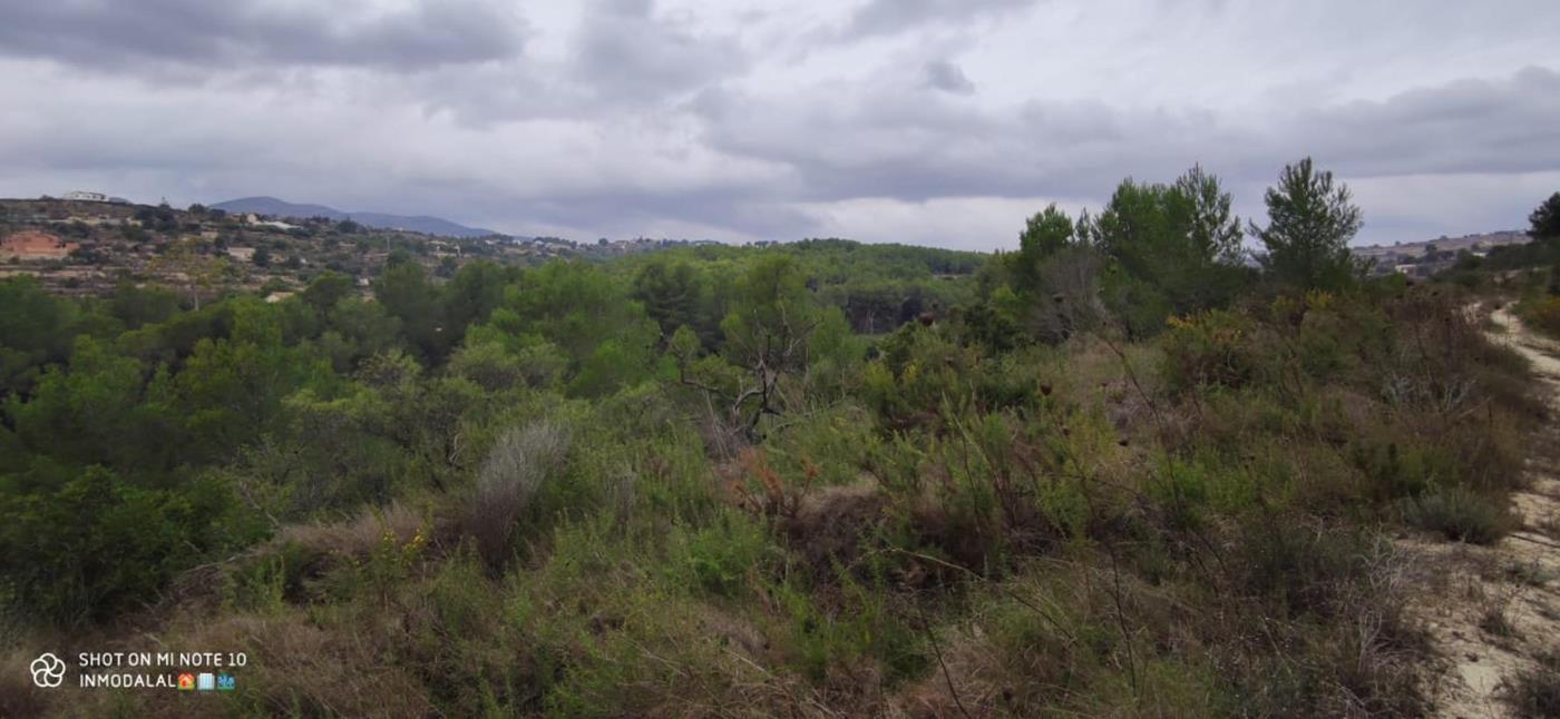 Land for sale in Partida Quissi