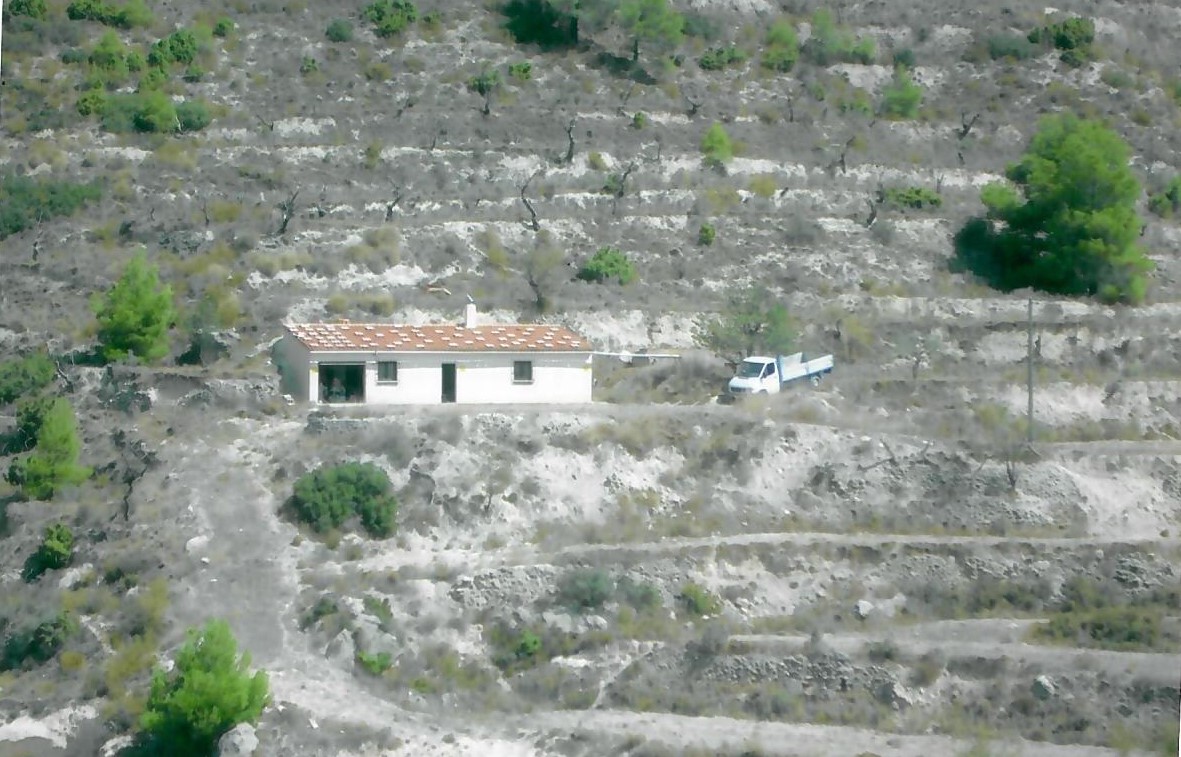 Large plot with cave house in Relleu