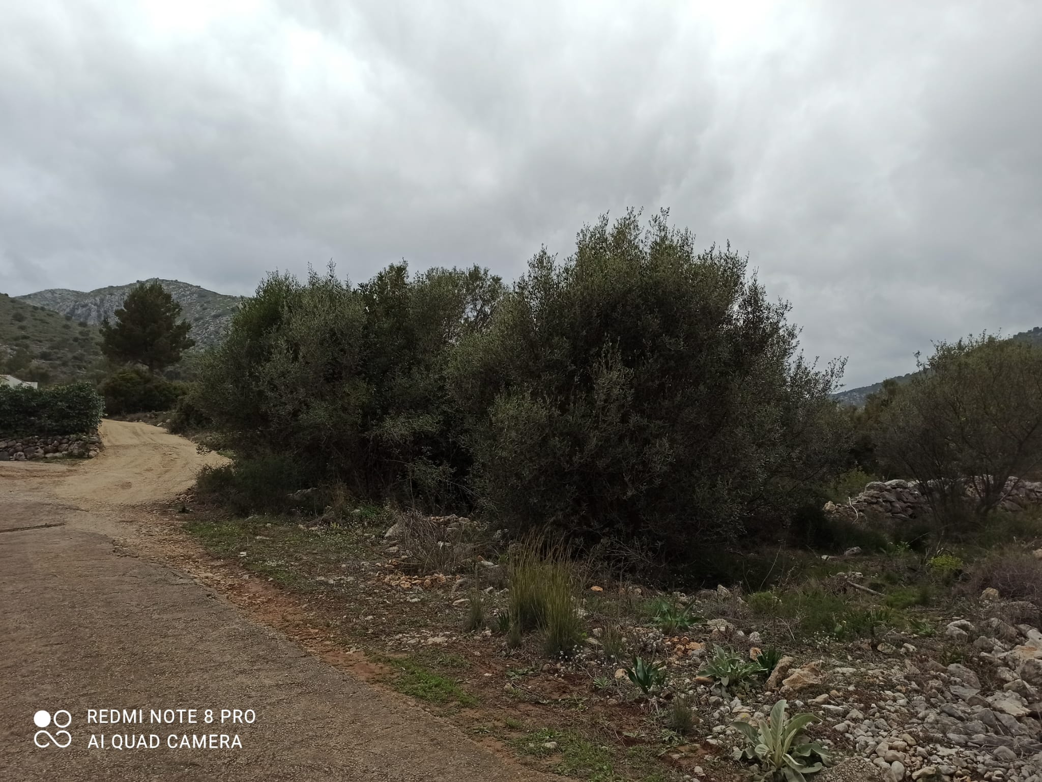 for sale plot with sea views in Benissa