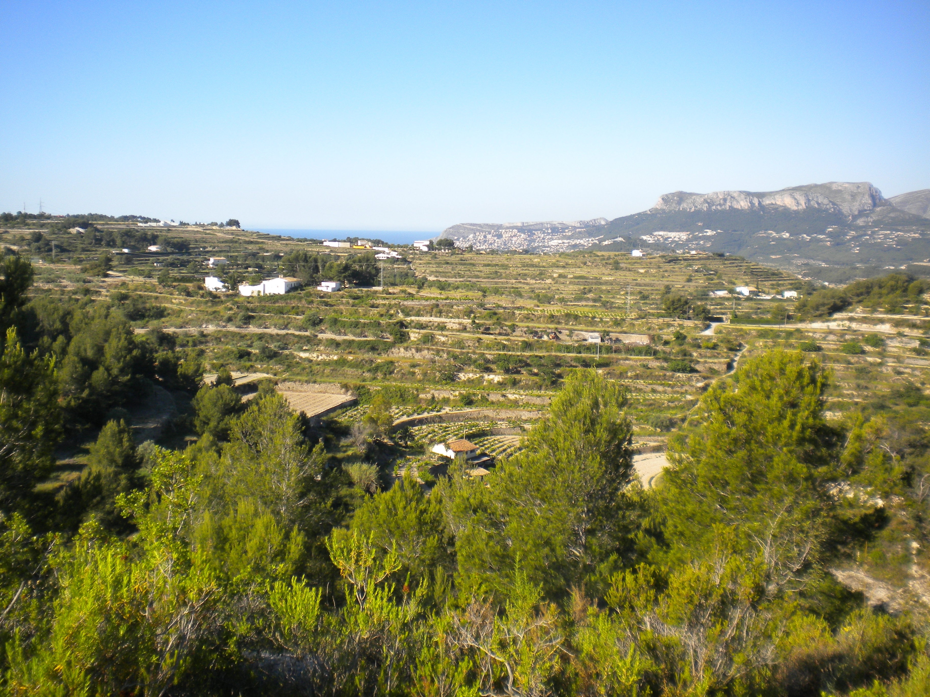 For sale plot in LLenes