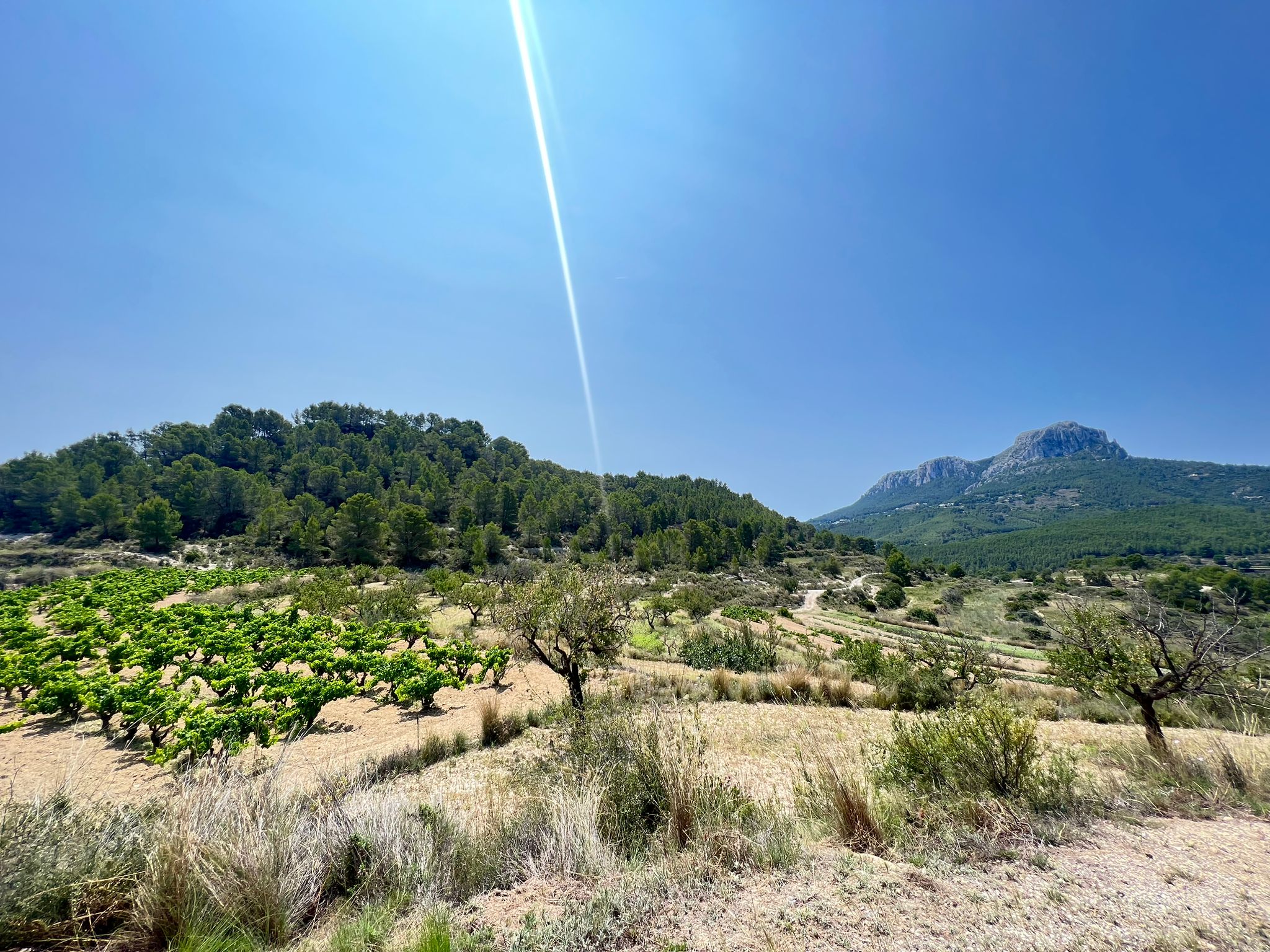 Se vende finca en Benissa con vistas abiertas al mar y motaña